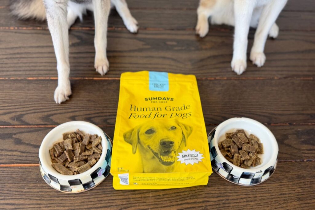 Copper and Skye wait Sundays Dog Food Meals in May 2026