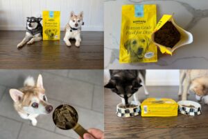 Sundays Dog Food Price (2026) Is The Cost Worth It