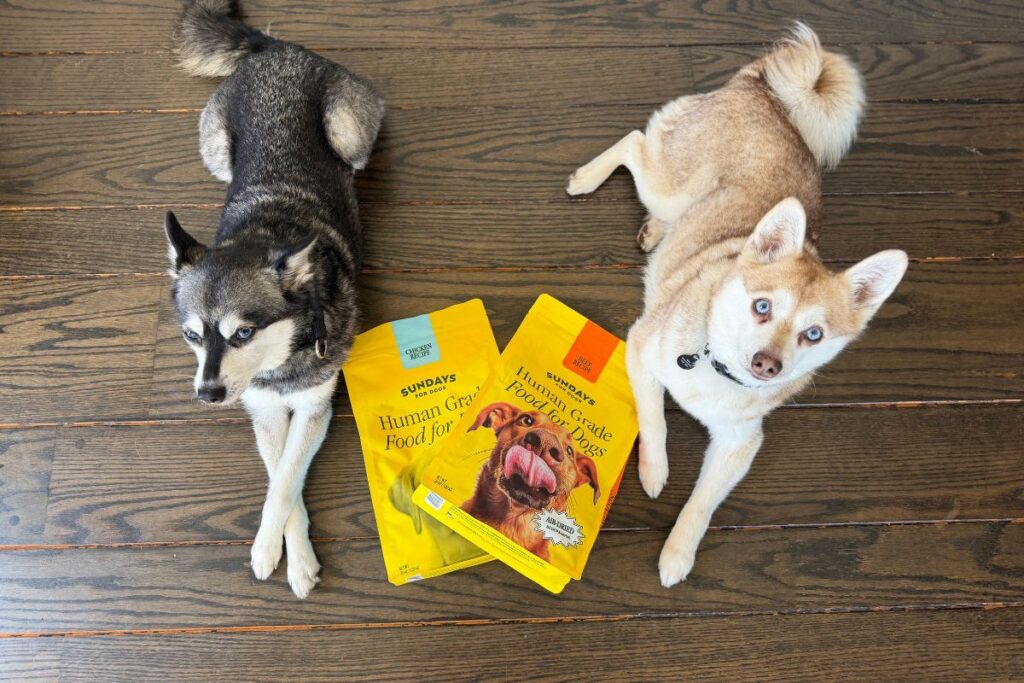 Sundays Dog Food Recipes in May 2026