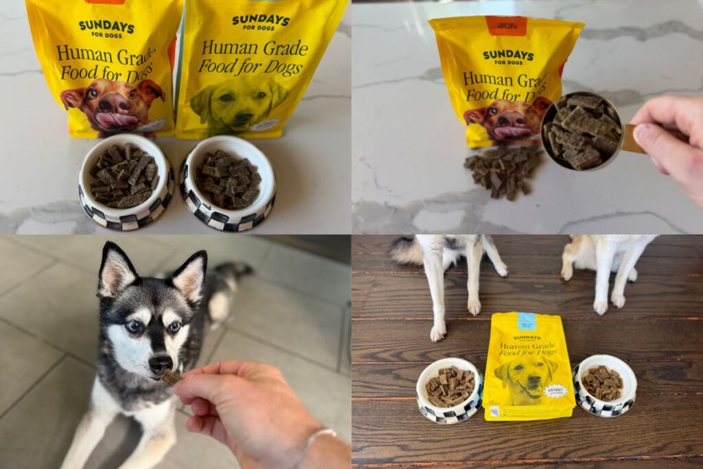 Sundays Dog Food Verdict Life With Klee Kai