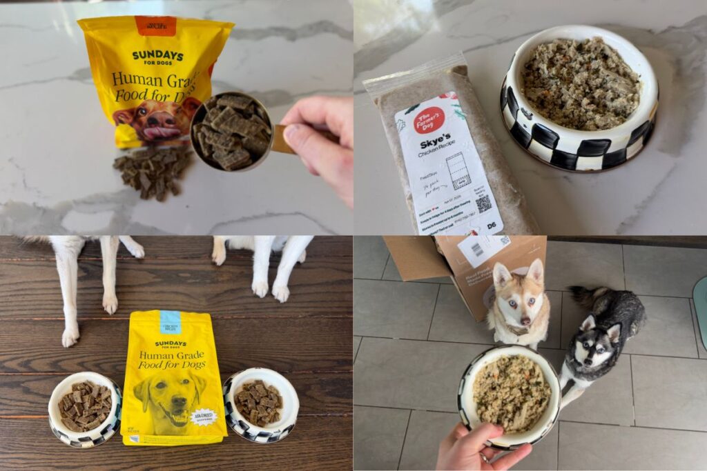Sundays For Dogs Or The Farmer's Dog Our Pick (May 2026)