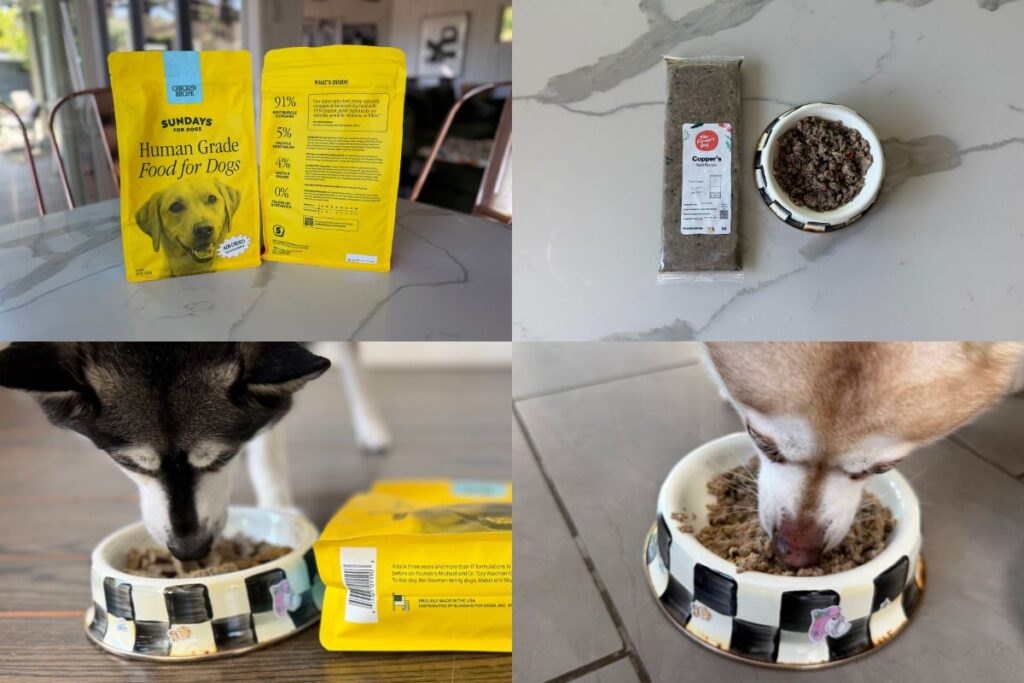 Sundays For Dogs Or The Farmer's Dog Recommendation (May 2026)