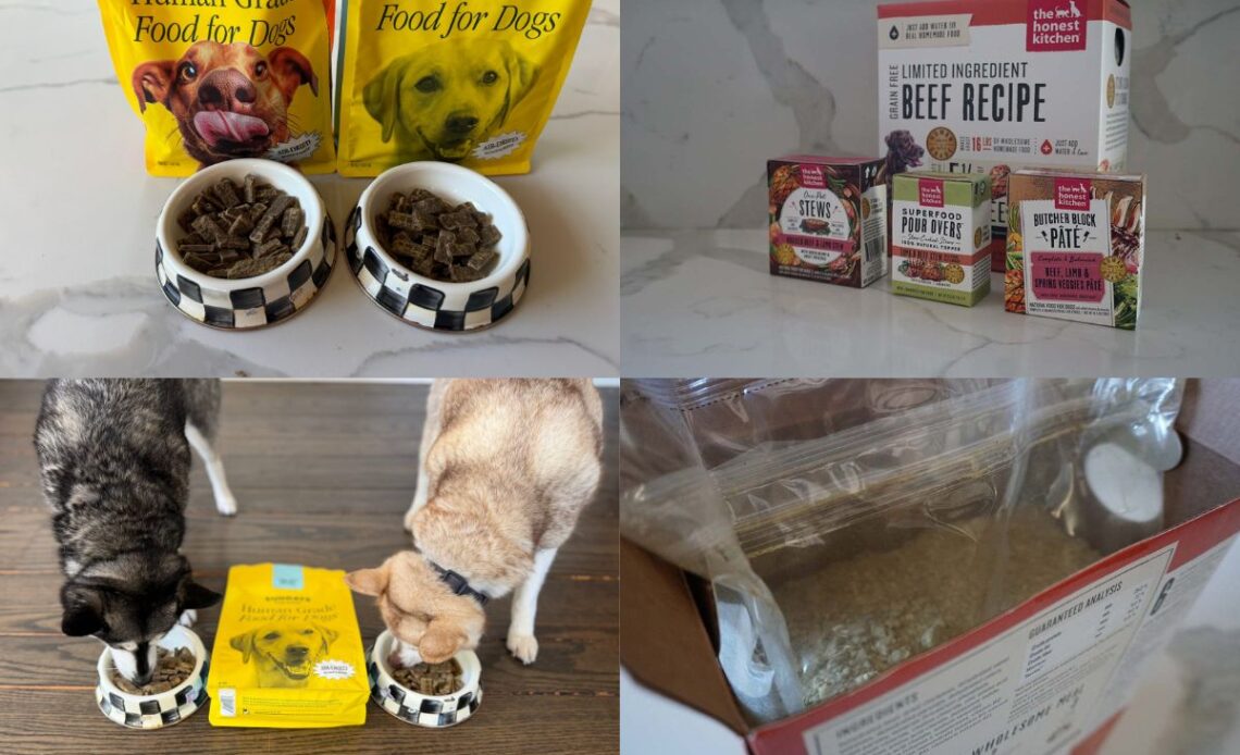 Sundays Vs Honest Kitchen (2026) Which Dog Food Is Better
