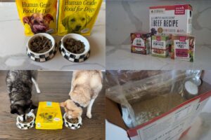 Sundays Vs Honest Kitchen (2026) Which Dog Food Is Better