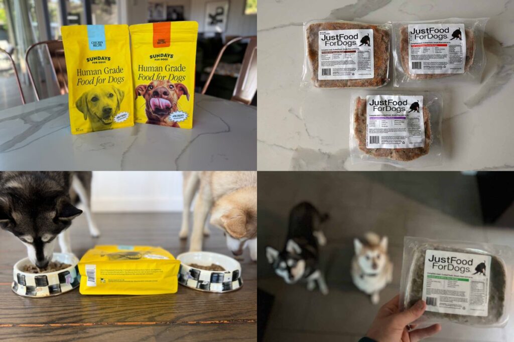 Sundays Vs Just Food For Dogs (2026)