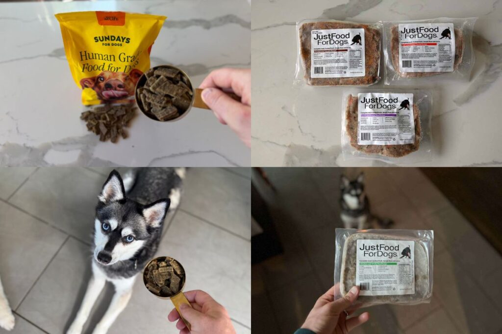 Sundays Vs Just Food For Dogs (2026) Which Dog Food Is Better