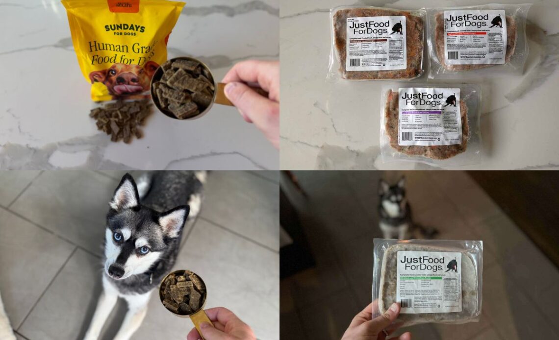 Sundays Vs Just Food For Dogs (2026) Which Dog Food Is Better