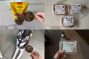 Sundays Vs Just Food For Dogs (2026) Which Dog Food Is Better