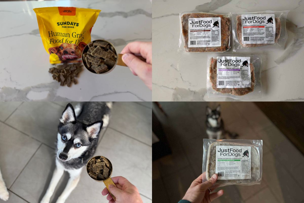 Sundays Vs Just Food For Dogs (2026) Which Dog Food Is Better