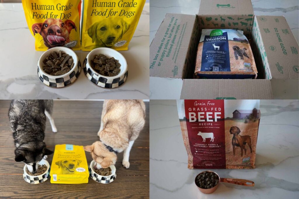 Sundays Vs Open Farm (2026) Which Dog Food Is Better