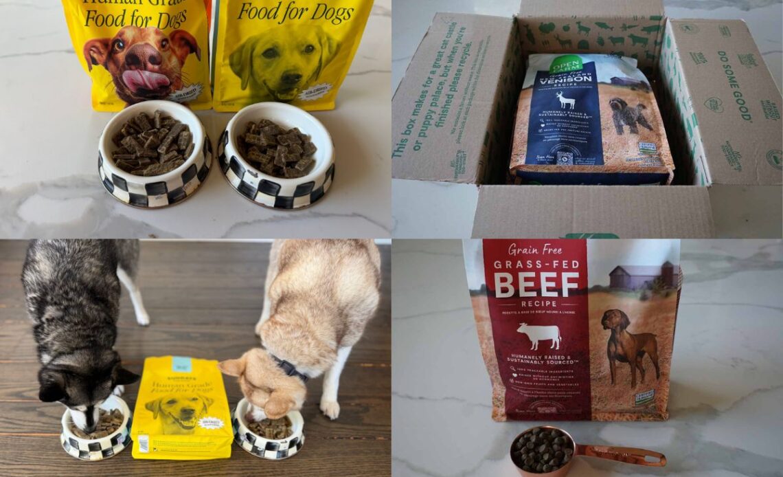 Sundays Vs Open Farm (2026) Which Dog Food Is Better