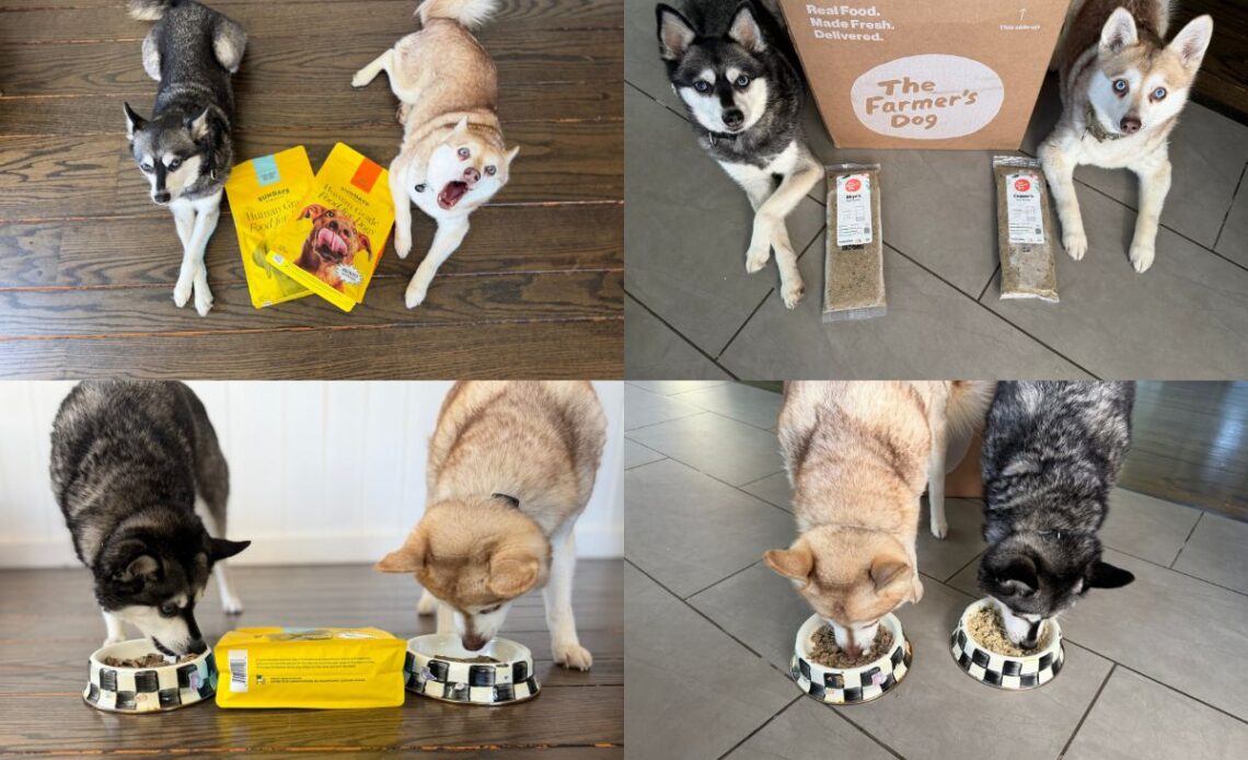 Sundays Vs The Farmer's Dog (2026) Which Dog Food Is Better