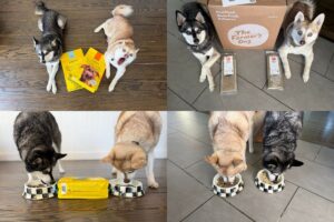 Sundays Vs The Farmer’s Dog (2026): Which Dog Food Is Better?