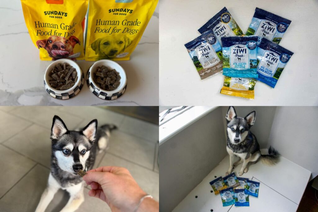 Sundays Vs Ziwi Peak (2026) Which Air Dried Dog Food Is Better