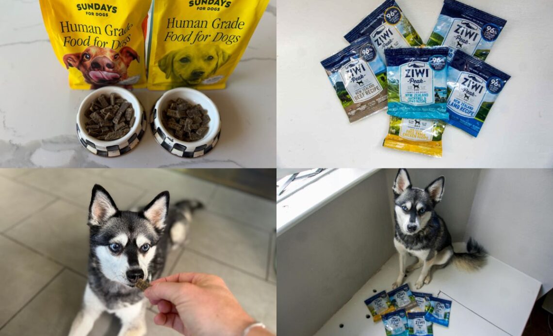 Sundays Vs Ziwi Peak (2026) Which Air Dried Dog Food Is Better