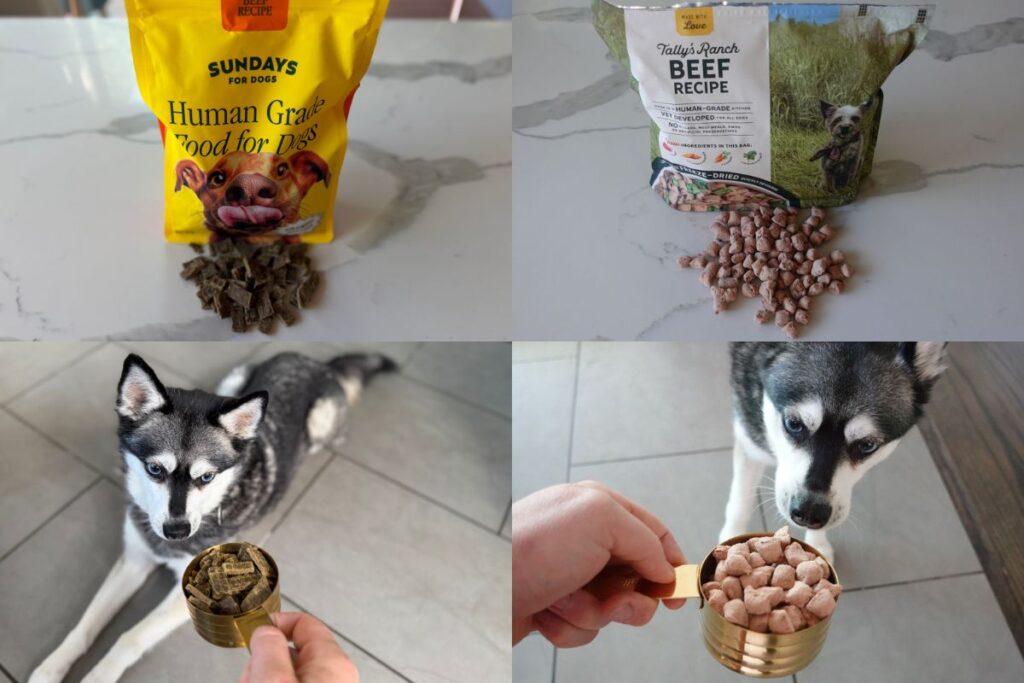 Sundays vs Tally's Ranch (2026) Which Dog Food Is Better