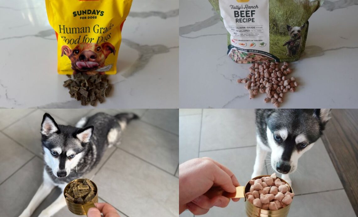 Sundays vs Tally's Ranch (2026) Which Dog Food Is Better