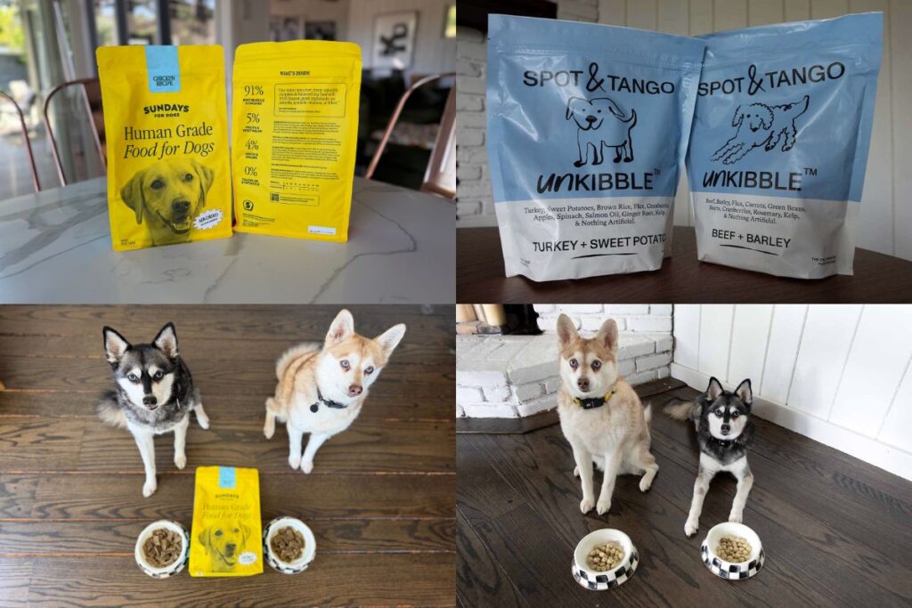 Sundays vs UnKibble (2026) Which Dry Dog Food Is Better