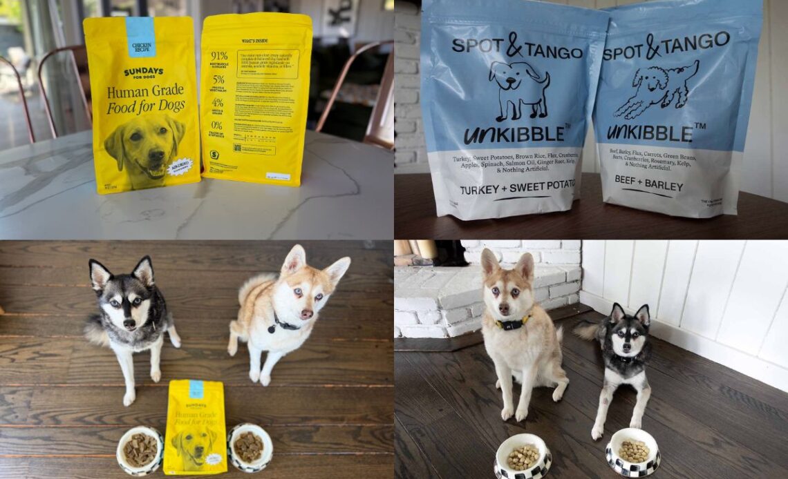 Sundays vs UnKibble (2026) Which Dry Dog Food Is Better