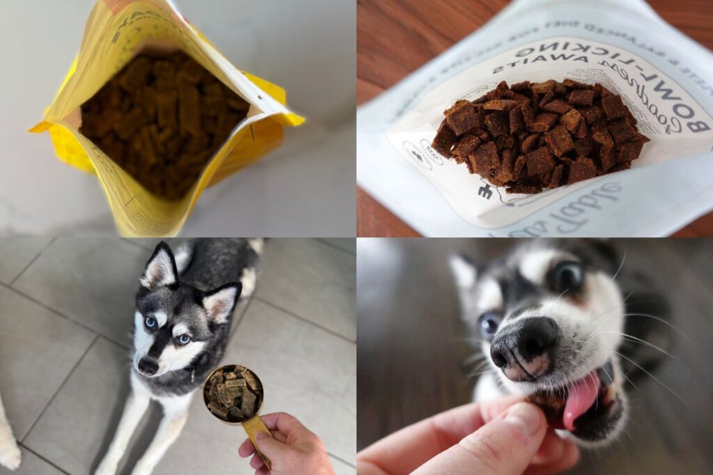 The Pet’s Table vs Sundays for Dogs (2026)