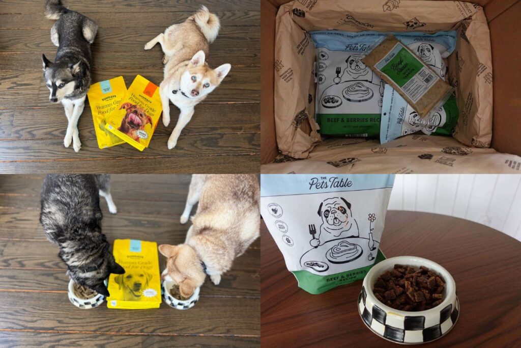 The Pet’s Table vs Sundays for Dogs (2026) Our Pick