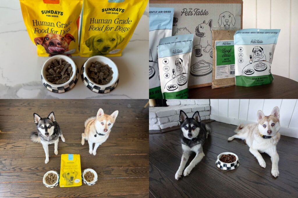 The Pet’s Table vs Sundays for Dogs (2026) Which Is Better