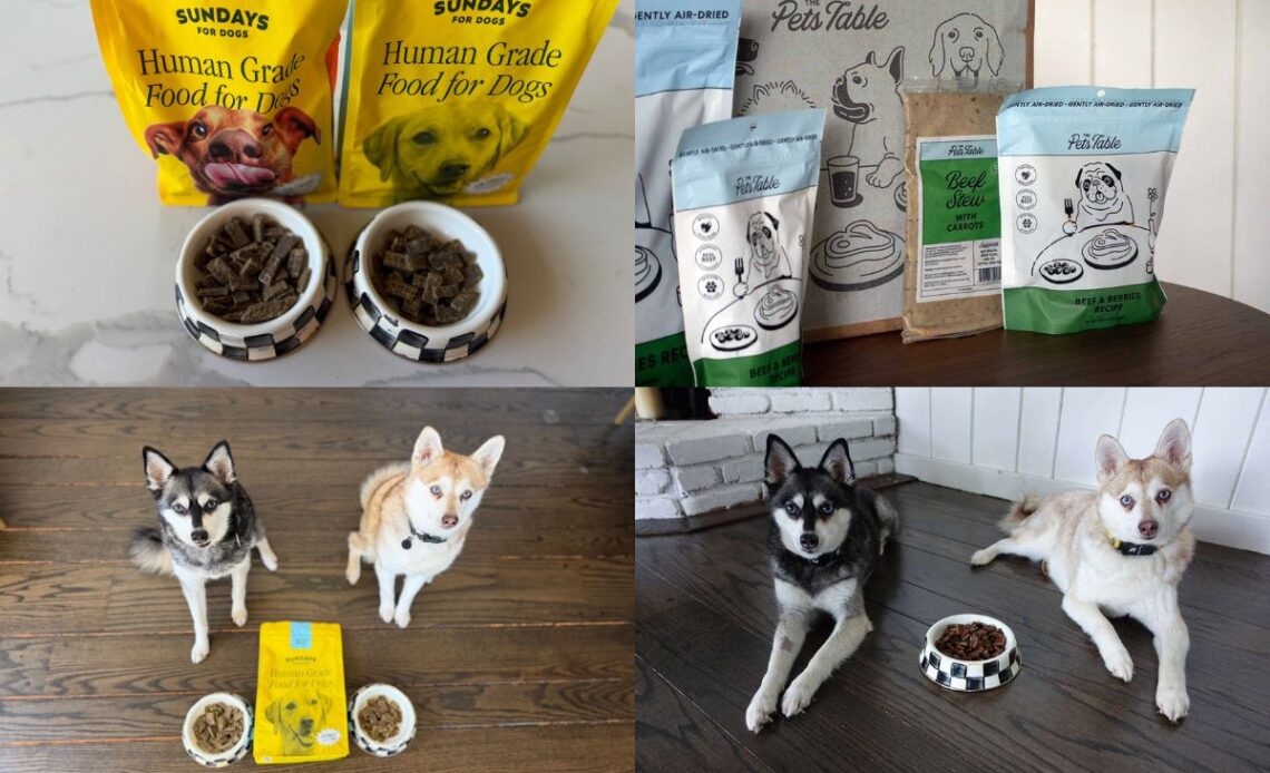 The Pet’s Table vs Sundays for Dogs (2026) Which Is Better