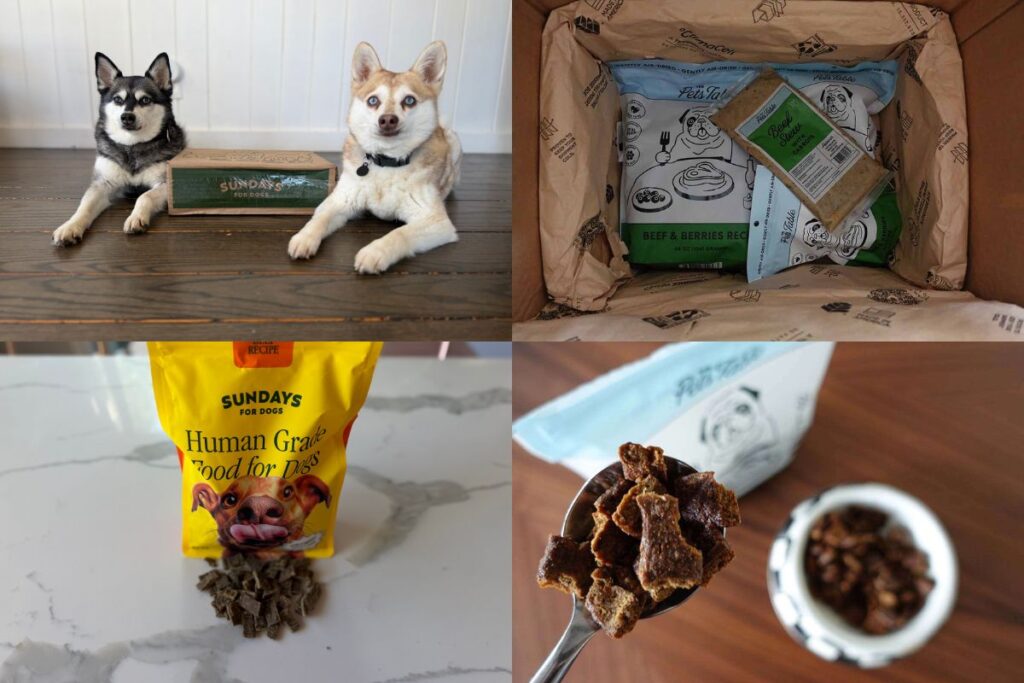 The Pet’s Table vs Sundays for Dogs (2026) Wrapping Up