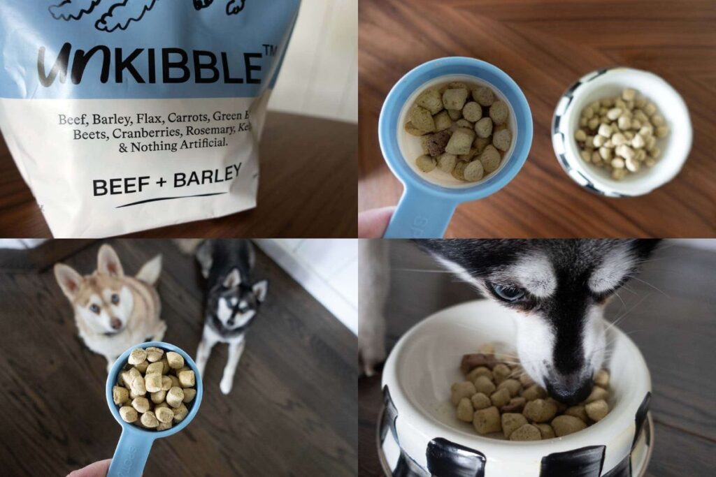 UnKibble Price How Much Does It Cost Per Month Is It Worth It