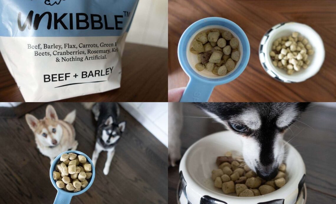 UnKibble Price How Much Does It Cost Per Month Is It Worth It