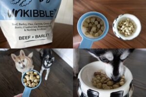 UnKibble Price How Much Does It Cost Per Month Is It Worth It