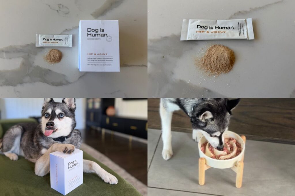 Dog Is Human Multiflex Hip & Joint Review My Honest Pros & Cons 2026