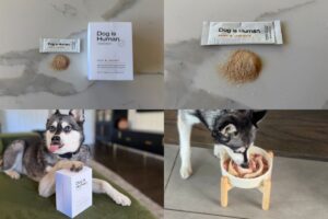 Dog Is Human Multiflex Hip & Joint Review My Honest Pros & Cons 2026