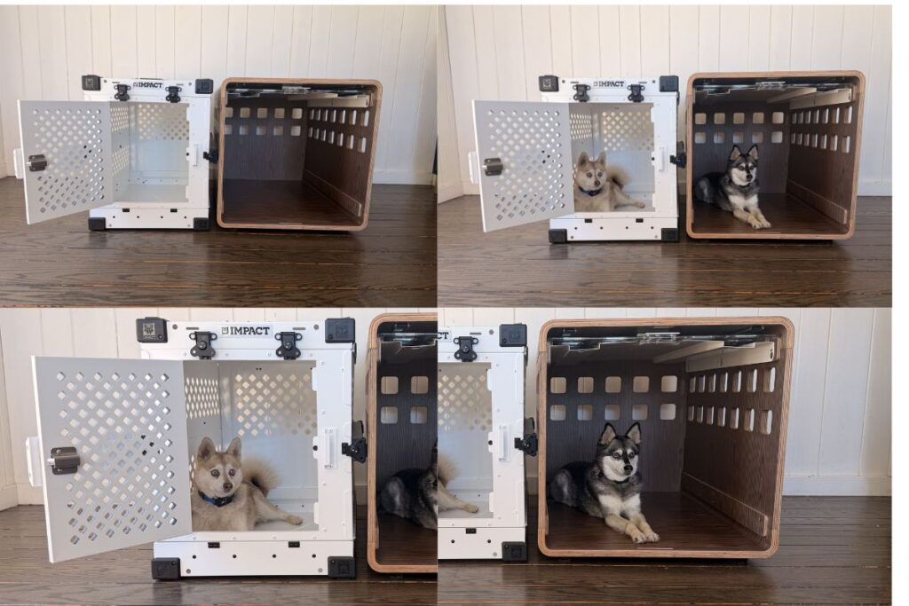 Fable vs Impact Dog Crate Honest Review