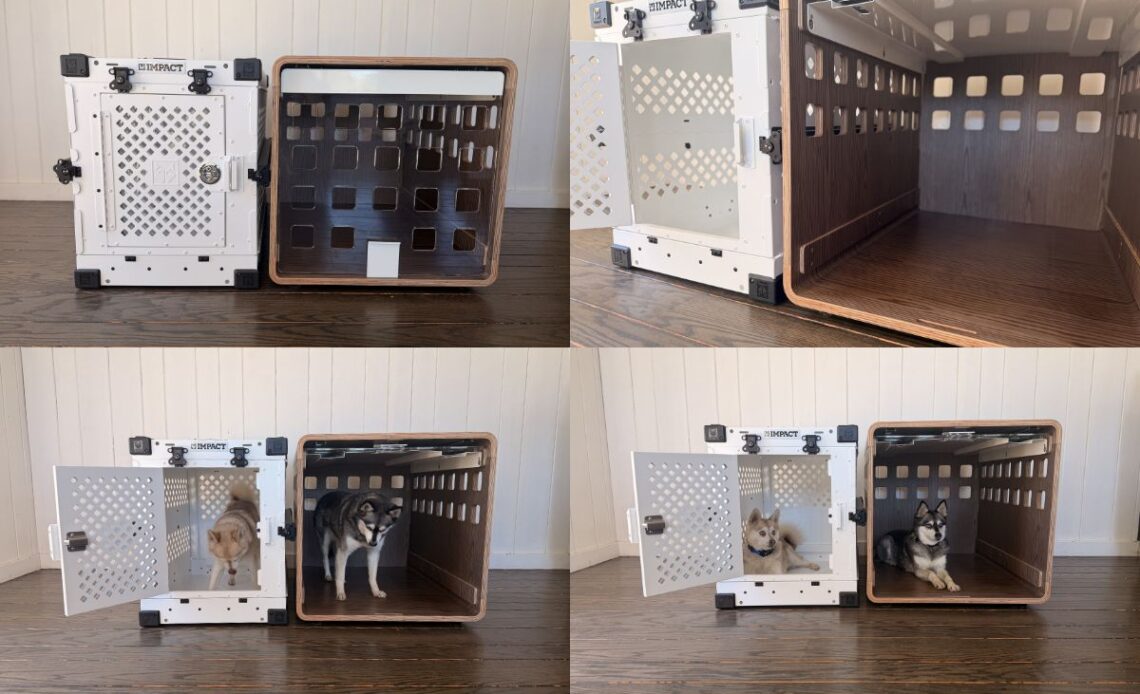 Fable vs Impact Dog Crate Which One Is Worth Your Money