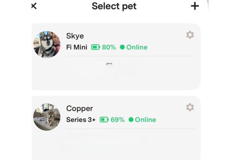 Fi Series 3+ vs Fi Mini: Which Should You Buy in 2026?