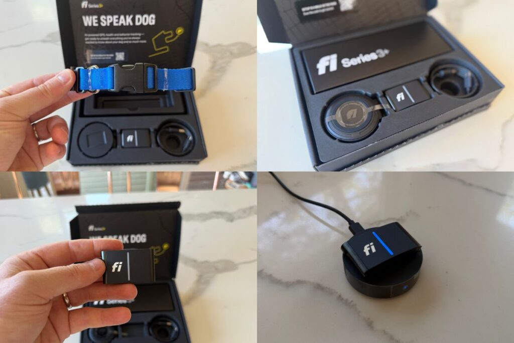 Fi Series 3+ GPS Smart Collar 2026 Review