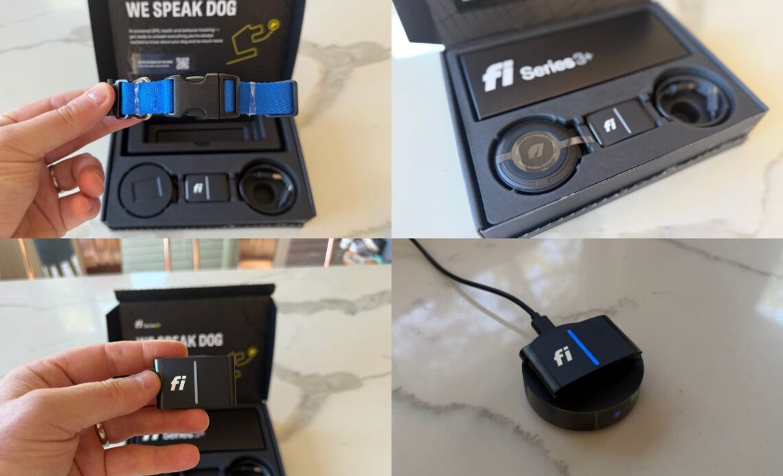 Fi Series 3+ GPS Smart Collar 2026 Review
