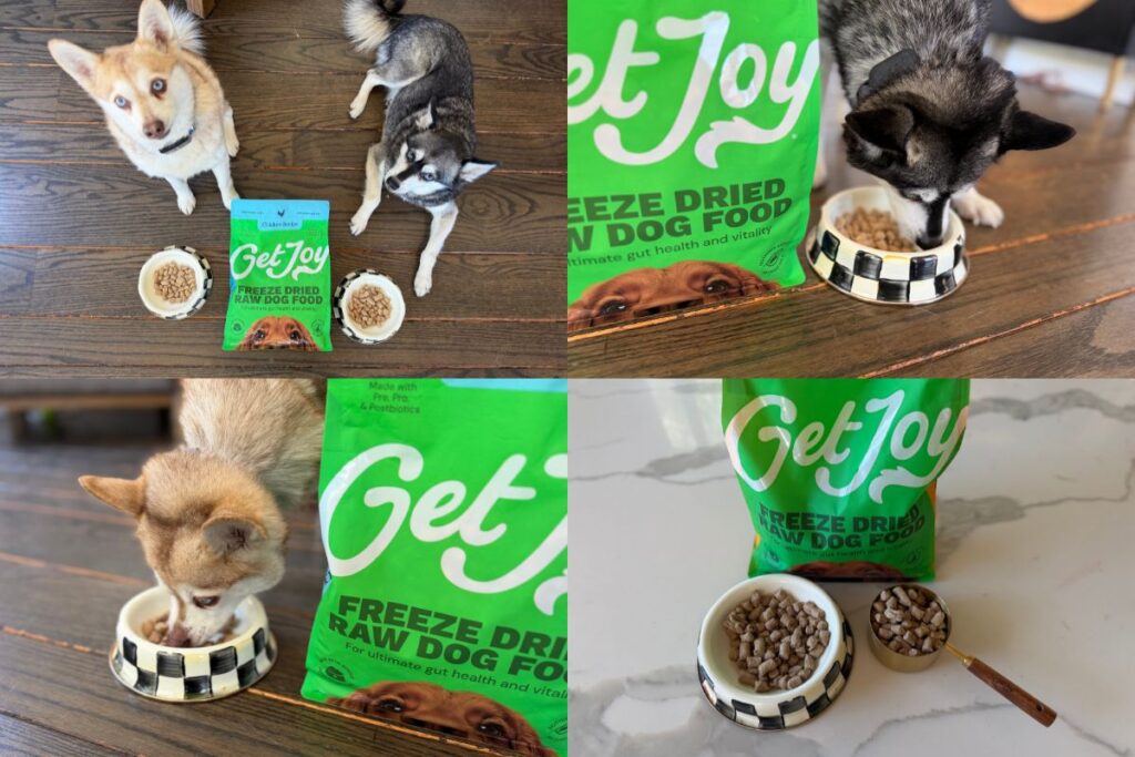 Get Joy Freeze Dried Dog Food Review