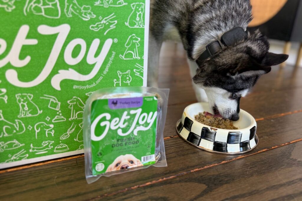 Skye Eats Get Joy Fresh Dog Food in 2026