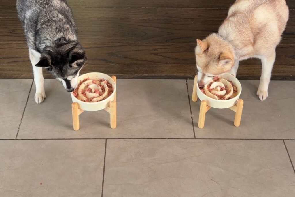 Skye and Copper eating food with Multiflex