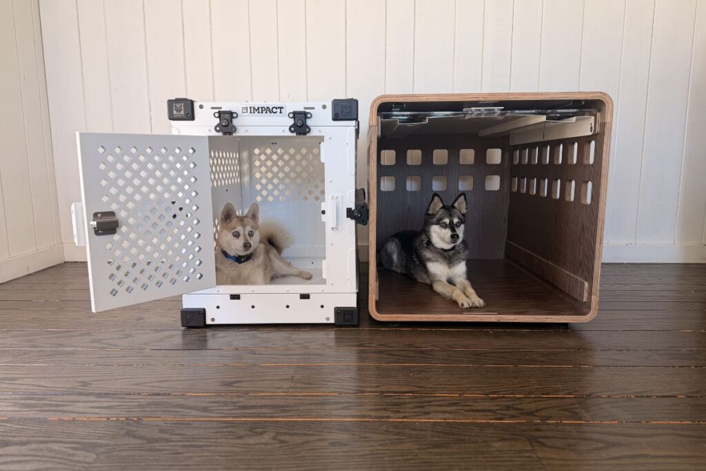 Skye and Copper inside Fable vs Impact Dog Crate
