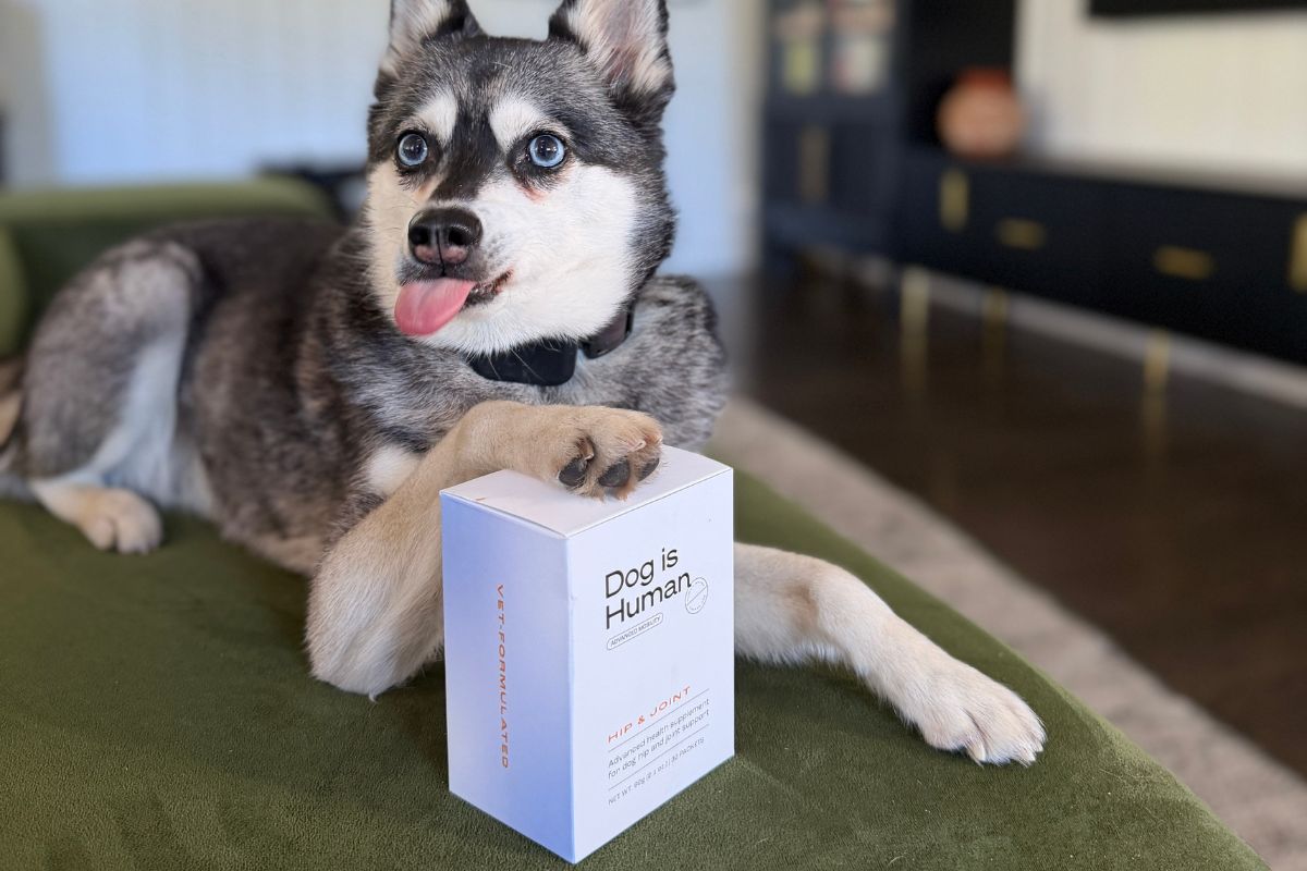 Skye and Multiflex supplement