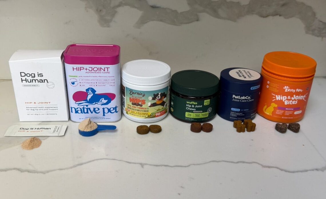 6 Best Dog Hip & Joint Supplements Tested for Mobility, Taste, and Value