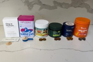 6 Best Dog Hip & Joint Supplements Tested for Mobility, Taste, and Value
