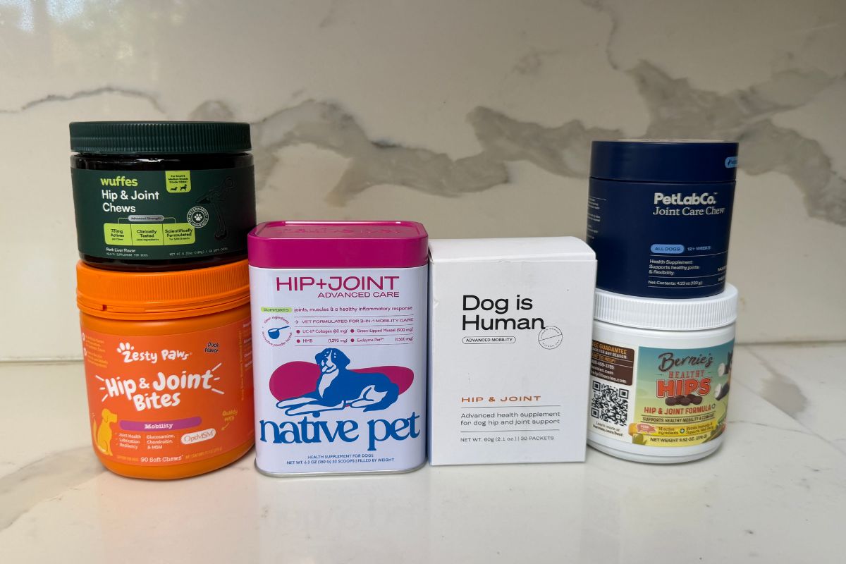 Best Mobility Supplements Tested And Ranked