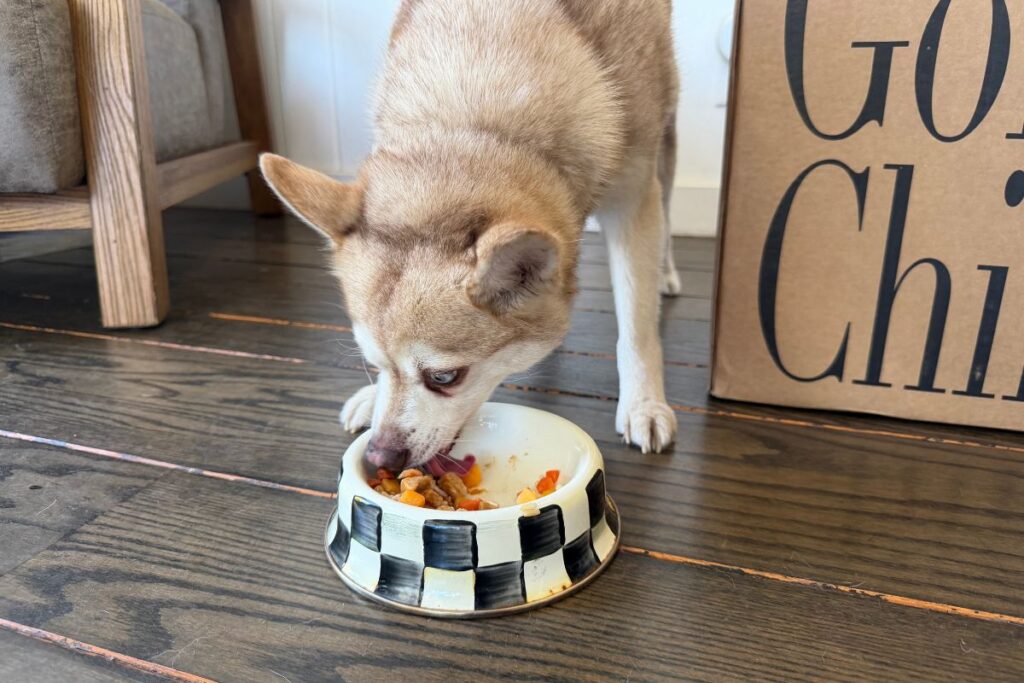 Copper Eating Golden Child In Bowl