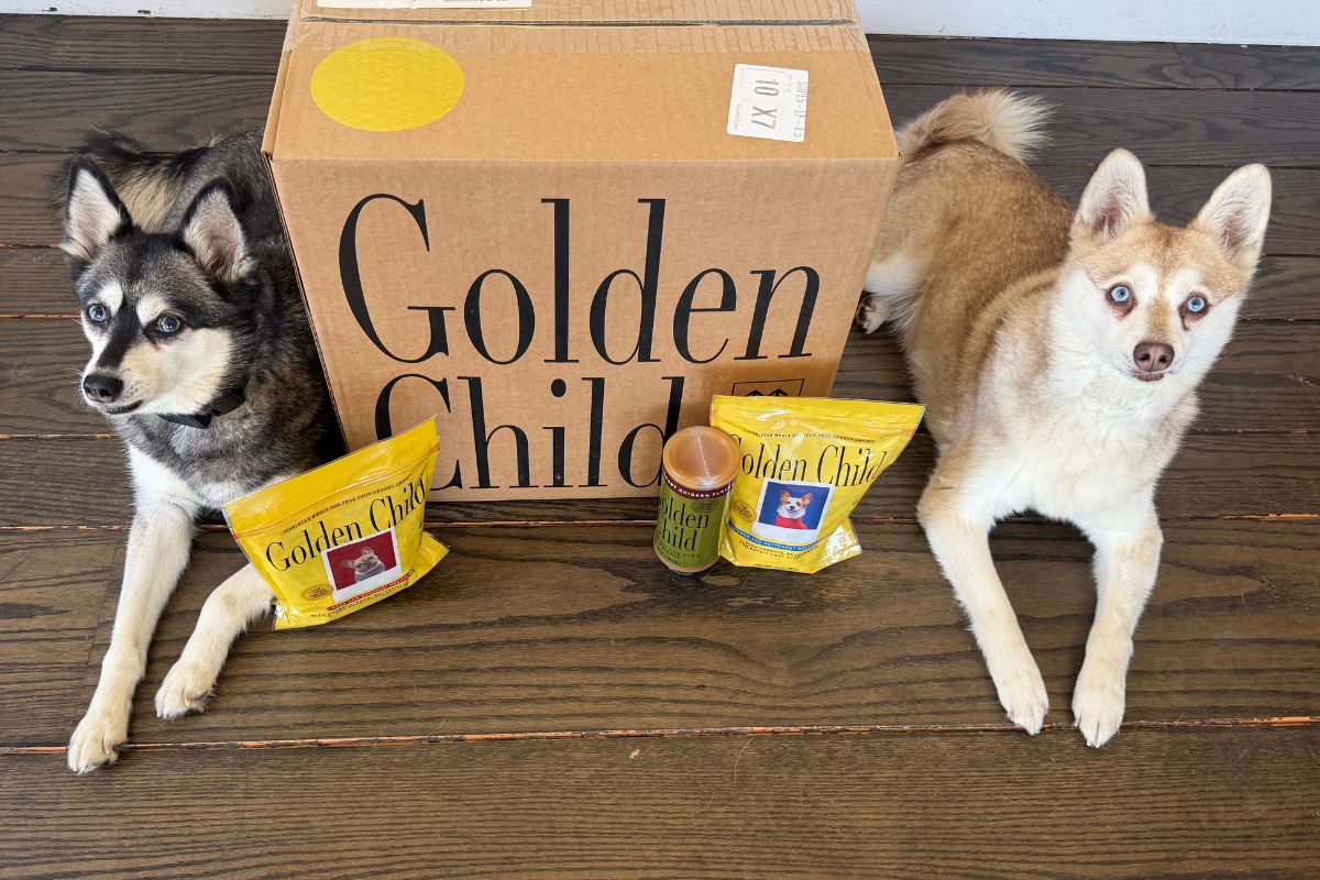 The Farmer's Dog Food