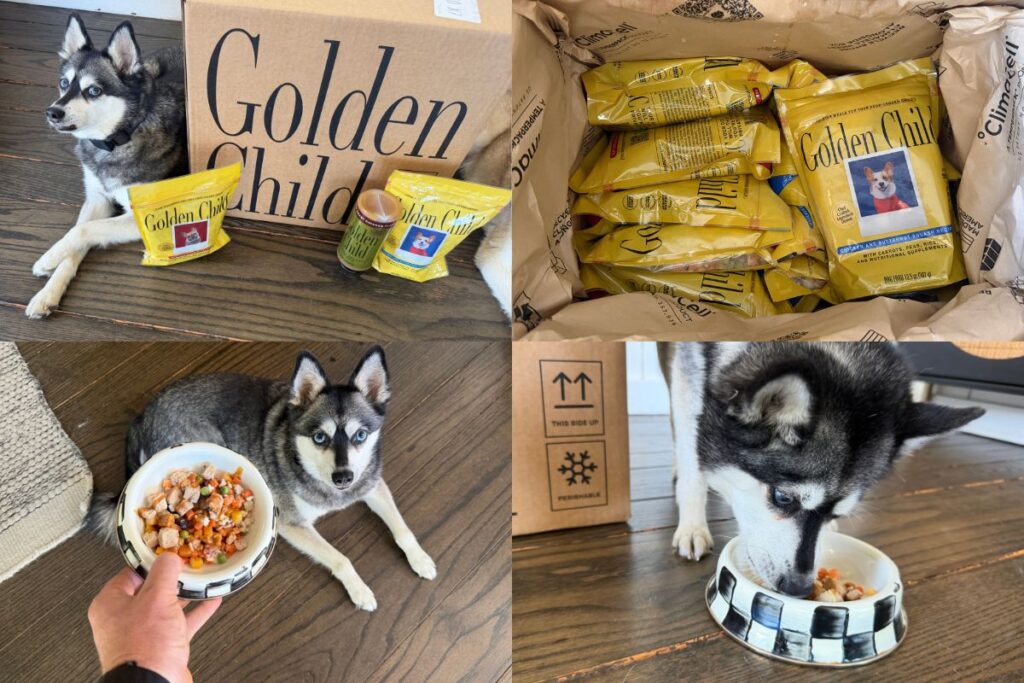 Golden Child Dog Food Review 2026