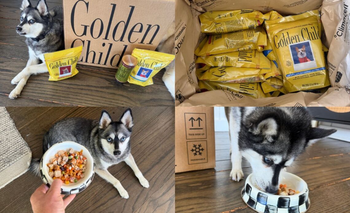 Golden Child Dog Food Review 2026